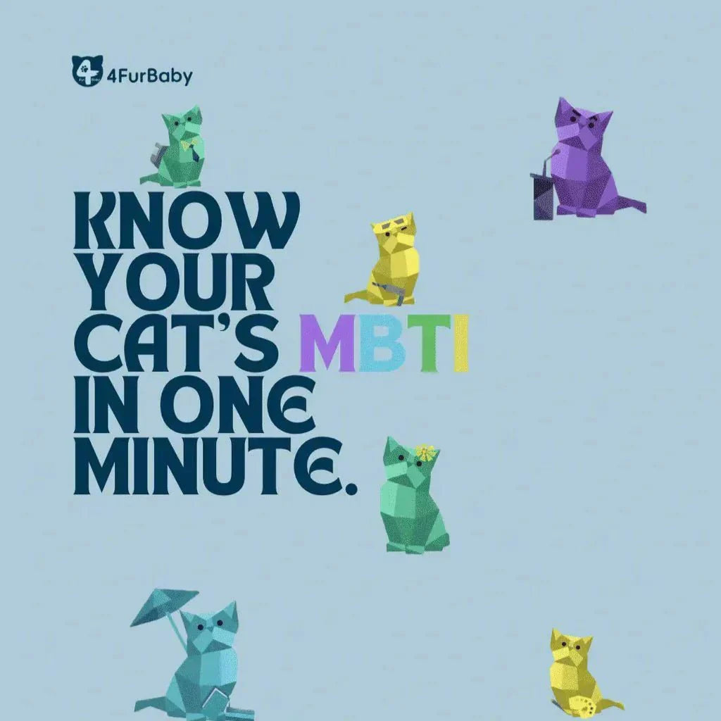 Discover Your Cat’s True Personality: Cat MBTI Test (With Science & Real-Life Guidance) - 4FurBaby