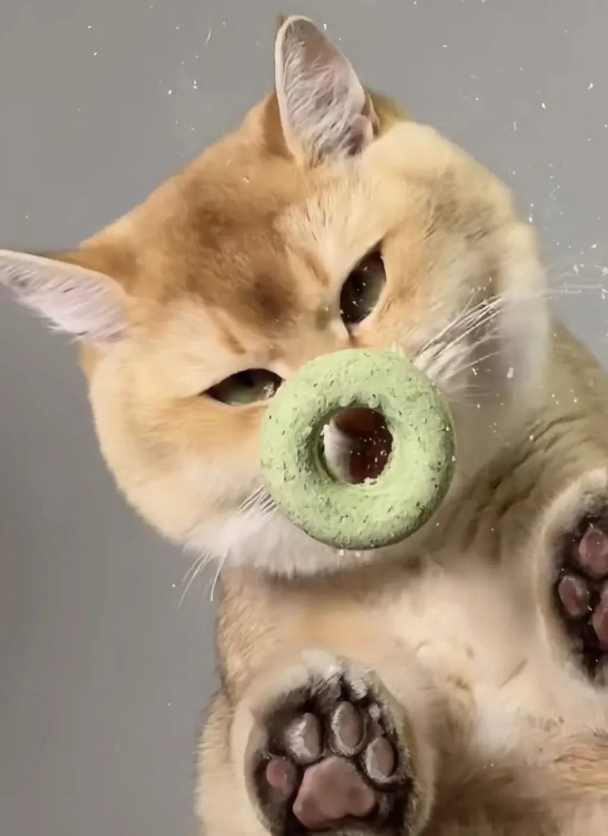 Treat Time Triumph: The Fun, Clean, and Healthy Way to Spoil Your Cat - 4FurBaby