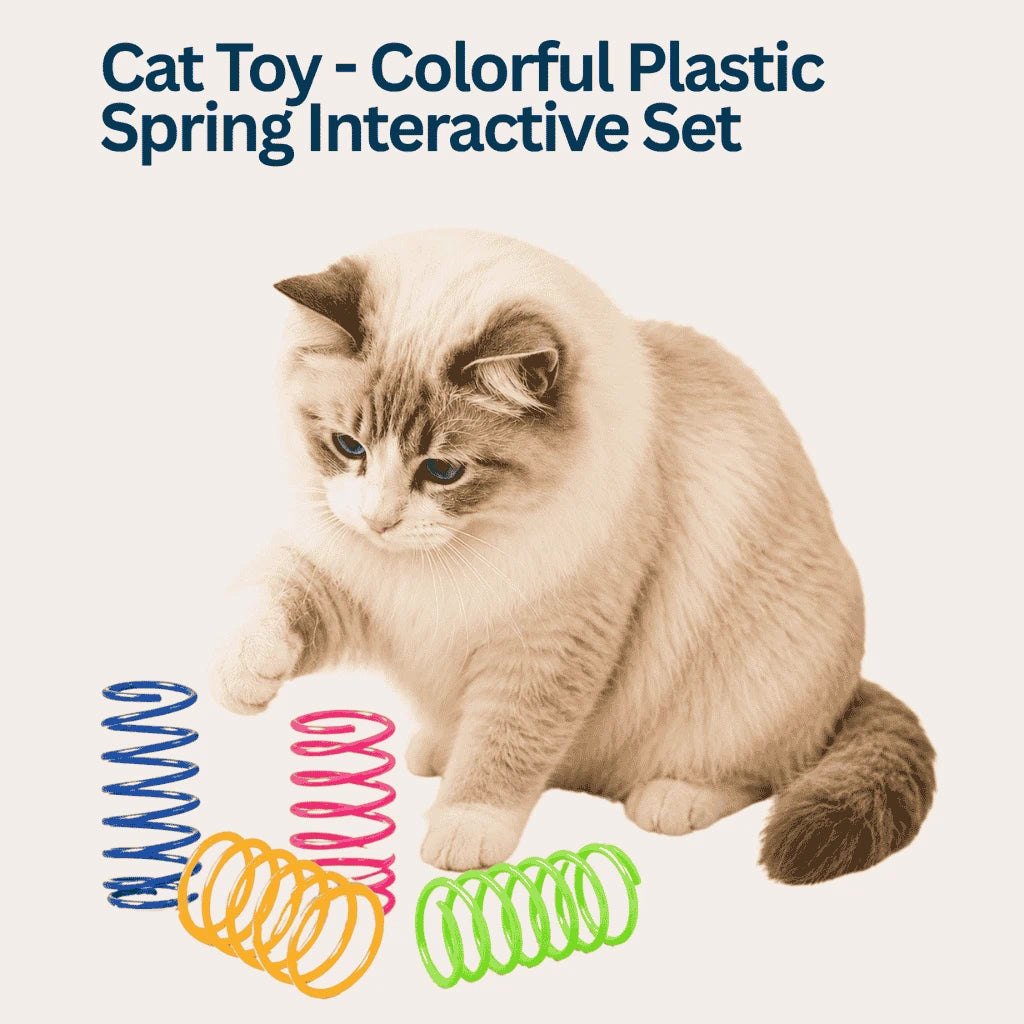 small colorful cat spring interactive set for indoor apartment kitten play after decompression