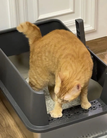 4furbaby low entry litter box
