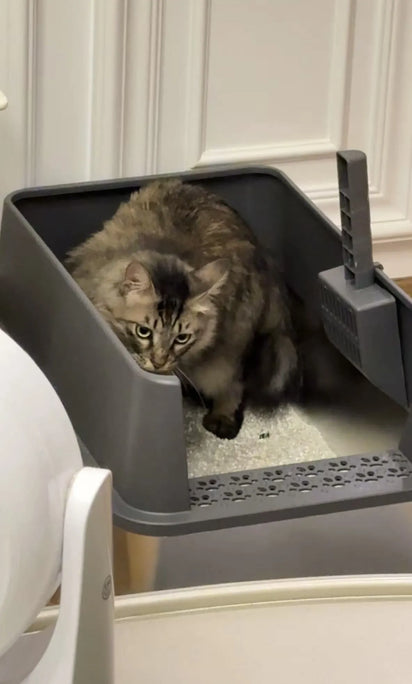 4furbaby extra large litter box