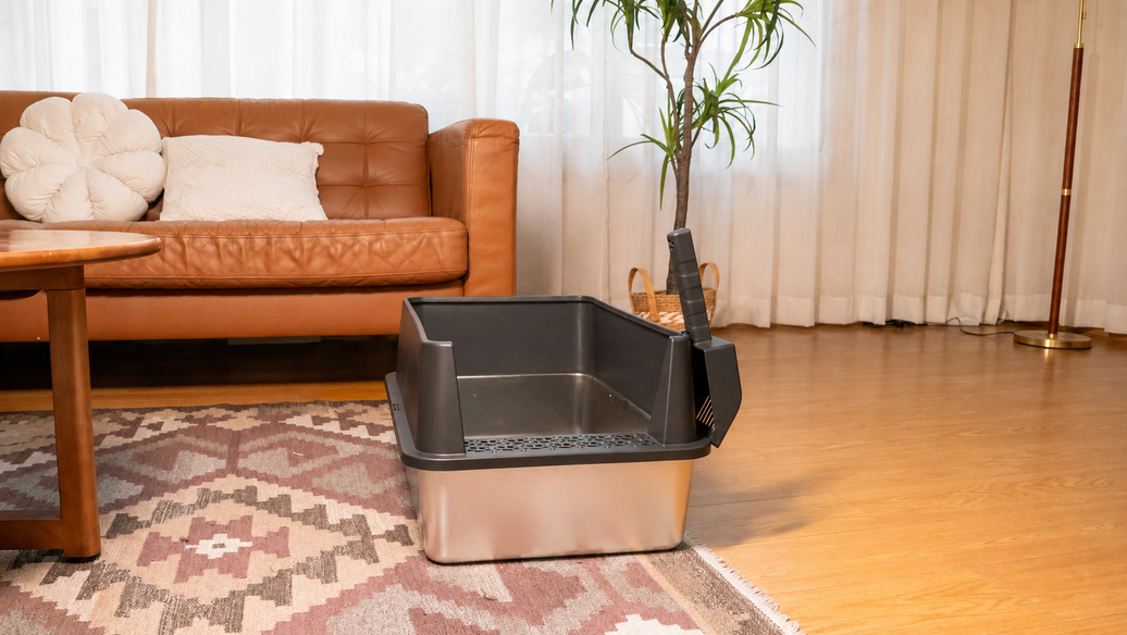7 Litter Box Mistakes That Make a Multi-Cat Home Messier (And How to Fix Them)