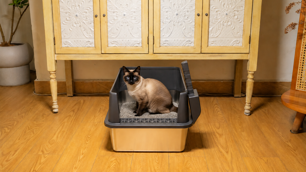 Open vs. Covered Litter Boxes: What Cats Prefer and How to Stop Dogs From Eating Cat Poop