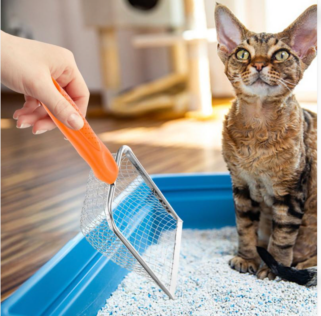 Are Sifting Litter Boxes Safe for Cats? How They Work, Paw Comfort &amp; Everyday Benefits