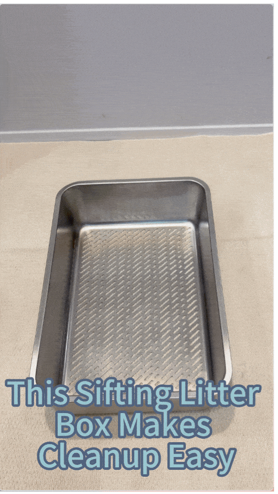 Tired of Scooping Cat Litter Every Day? How a Sifting Litter Box Makes Cleanup Easier