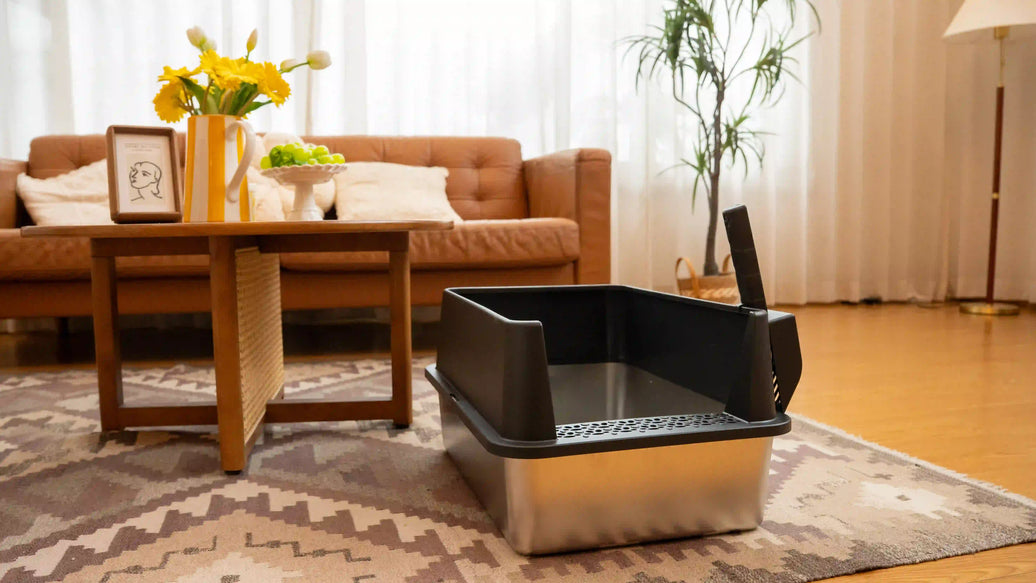 Best Cat Litter Box for Odor Control: Why Stainless Steel Makes Daily Cleaning Easier