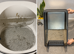 Automatic and stainless steel litter box comparison