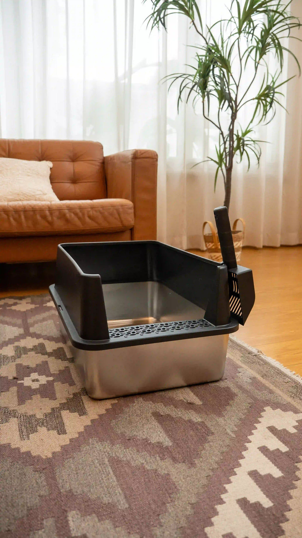 Is a Bigger Litter Box Always Better?
