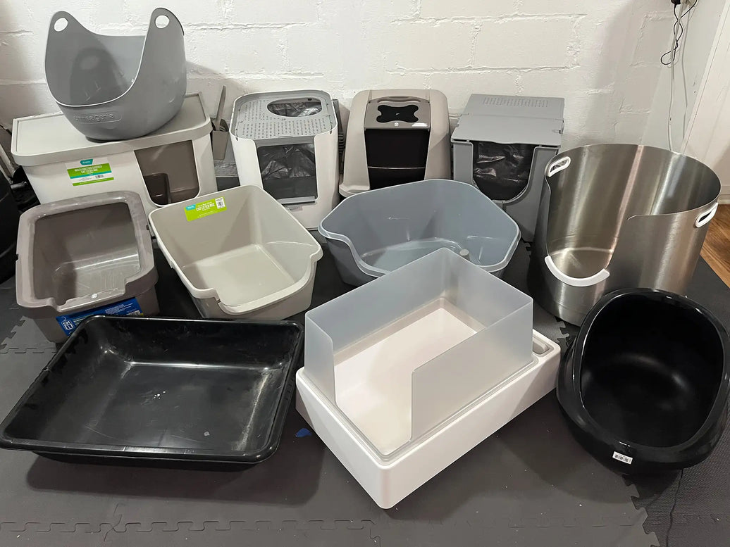 Kitten Litter Box Size: When Should You Upgrade to a Bigger Box?