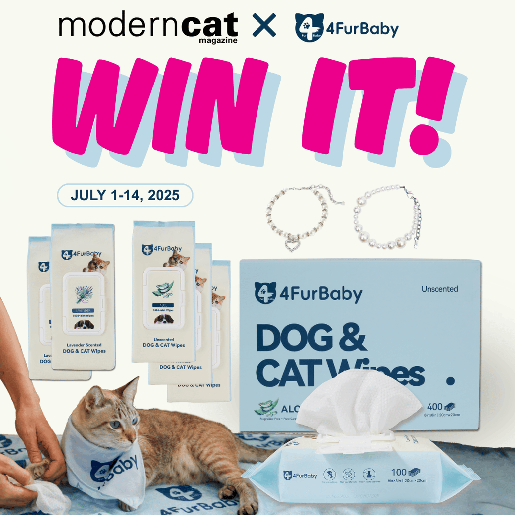 Compostable 4FurBaby Pet Wipes Now in Modern Cat Shop + Giveaway - 4FurBaby