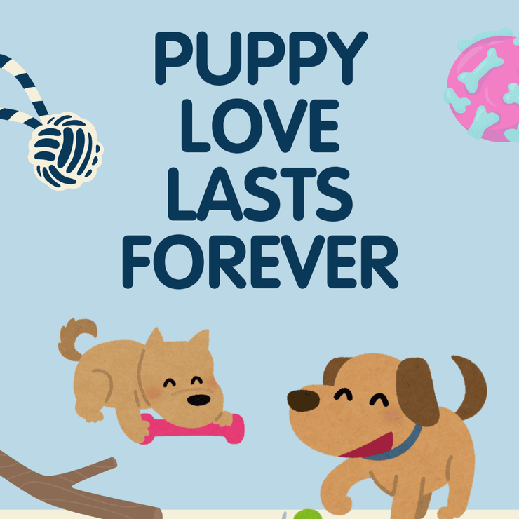 Does My Dog Know I Love Him? 🐾  Deepen Your Bond with Your Furbaby - 4FurBaby