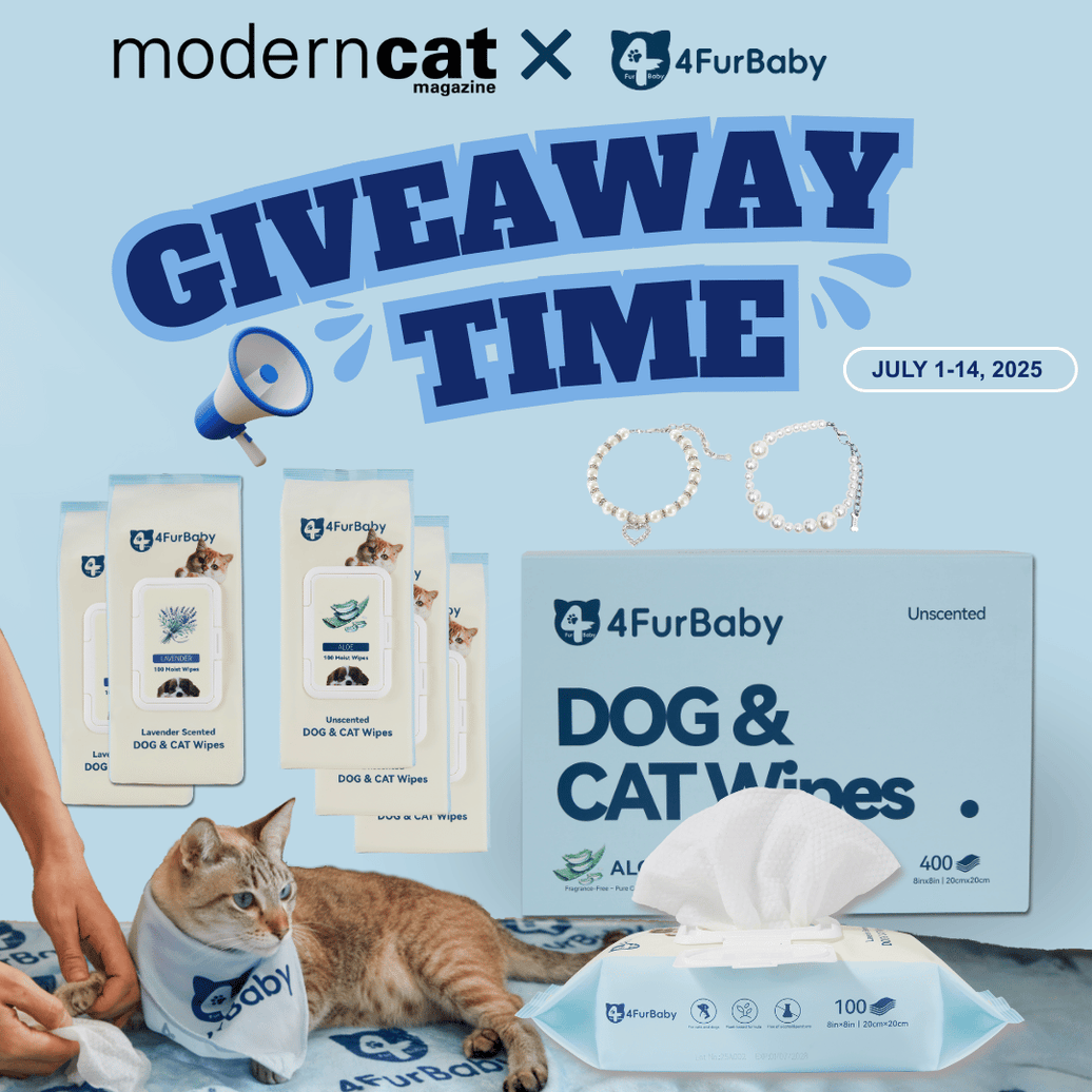 Giveaway Alert: moderncat Magazine x 4FurBaby Collaboration! - 4FurBaby