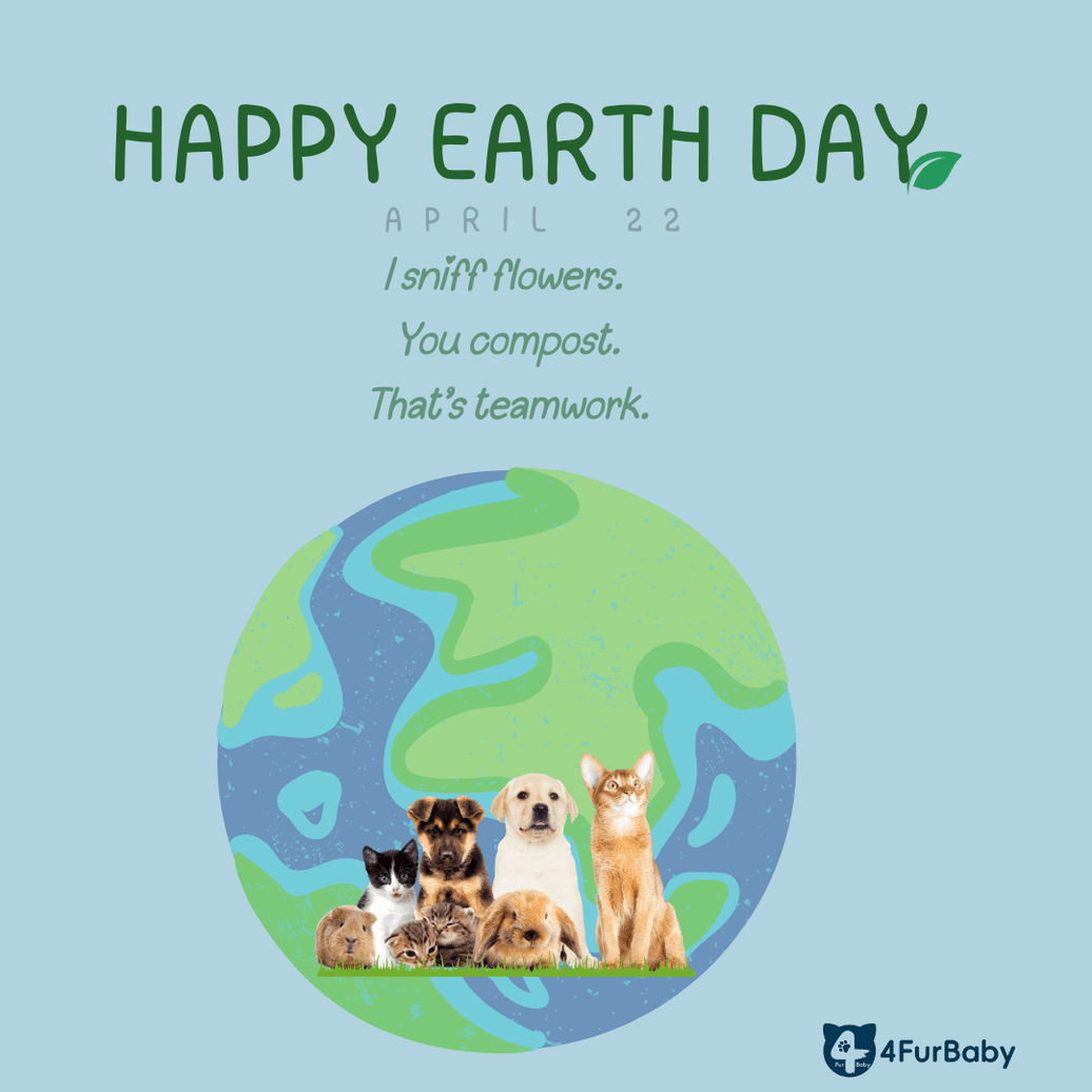 How You and Your Pet Can Help Save the Planet—One Green Habit at a Time - 4FurBaby
