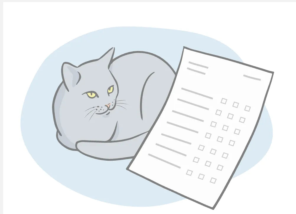 Lessons from the University of Helsinki: Four Essential Cat Care Topics