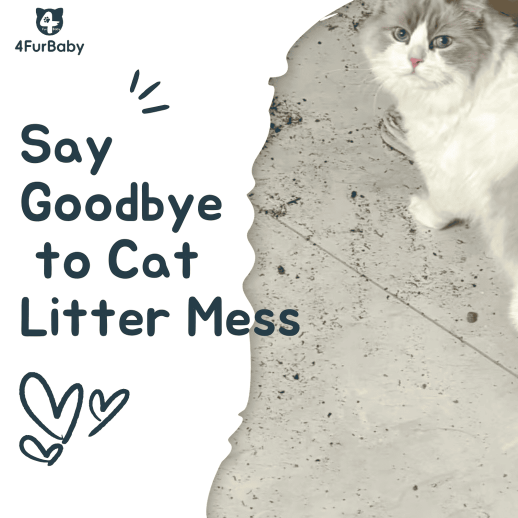 Cat Litter Everywhere? How to Stop Cat Litter Tracking and Keep Your Home Fresh