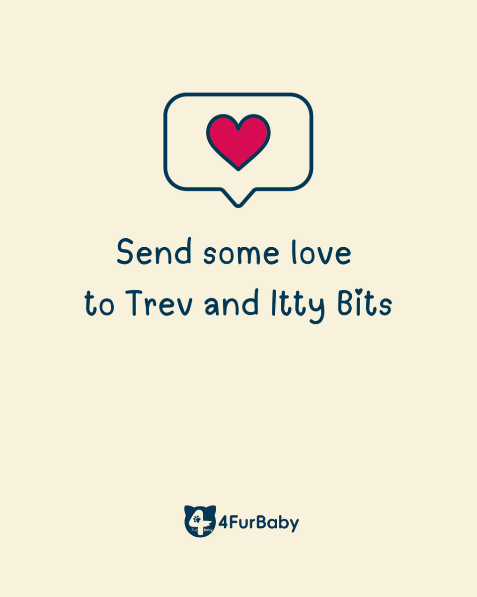 Send Some Love to Trev & Itty Bits: Celebrating Unbreakable Bonds - 4FurBaby