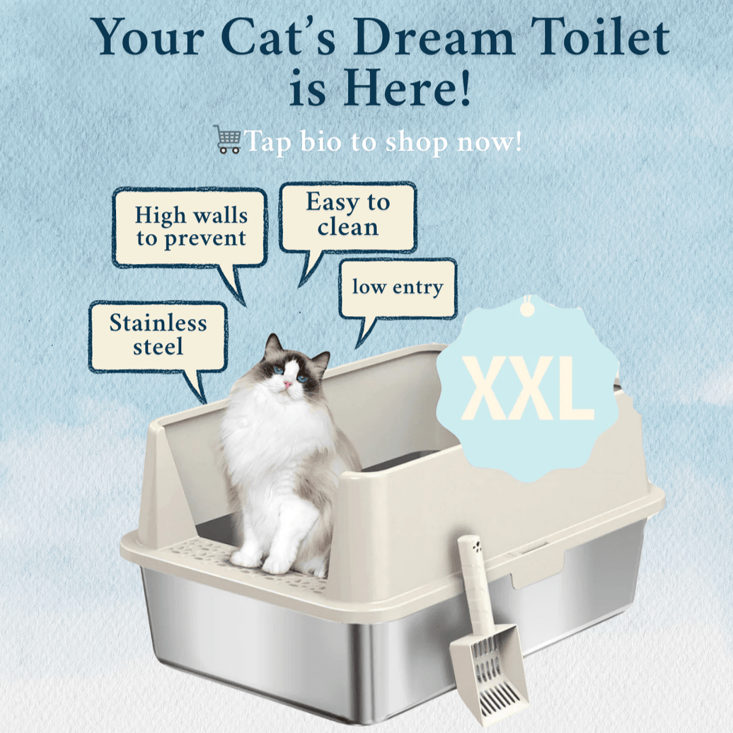 The Ultimate Cat Litter Box Guide: How the Right Choice Can Change Your Cat’s Life - 4FurBaby