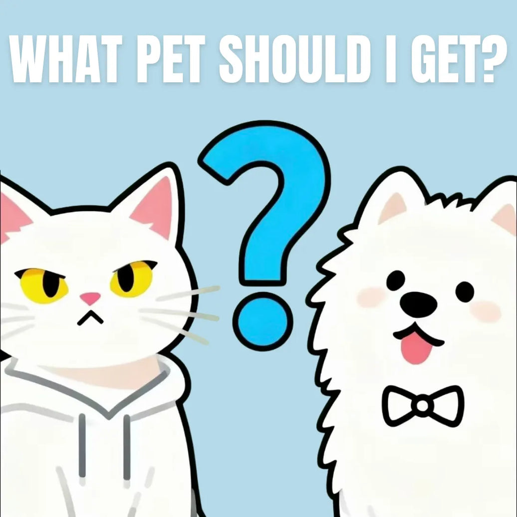 Cat or Dog? How to Choose Your Perfect Pet