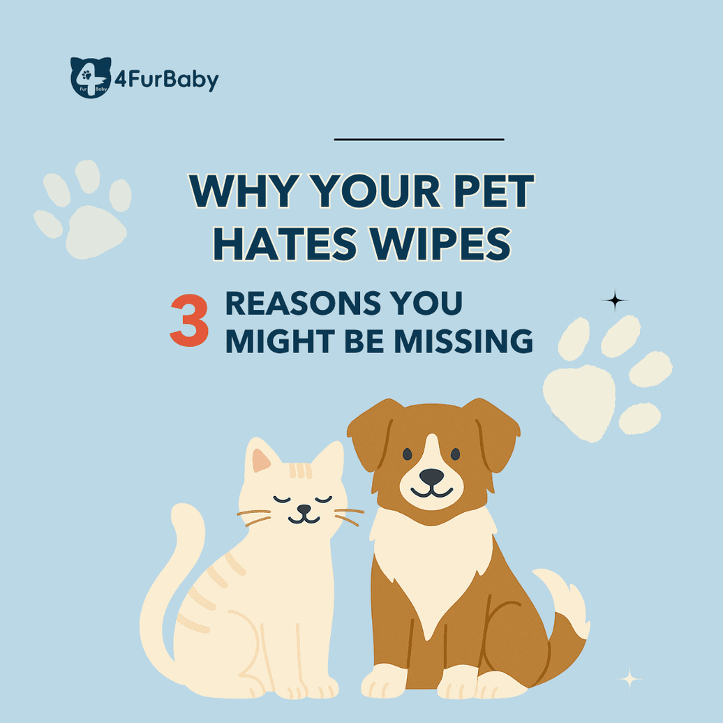 Why Your Pet Hates Wipes: 3 Reasons You Might Be Missing - 4FurBaby