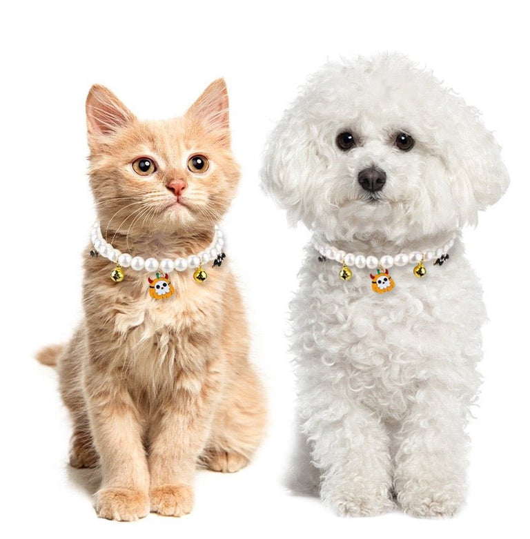 Clothing & Accessories Collection - 4FurBaby