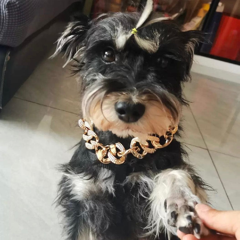 Customer favorites - 4FurBaby