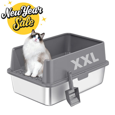Cat Litter & Cleanup