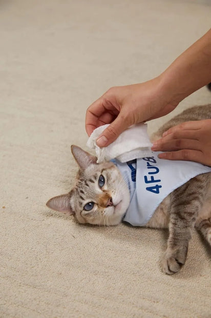 Cat wearing a white shirt with '4FUR' text, lying on a beige carpet.