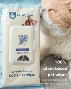 100 counts Extra - Thick Plant Wipes Premium 100% Plant - Based & Compostable Pet Grooming Wipes – Keep Your Pet Fresh the EZ Way - 4FurBaby