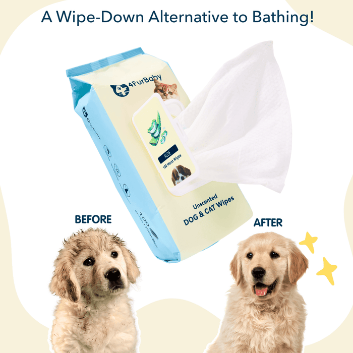 100 counts Extra - Thick Plant Wipes Premium 100% Plant - Based & Compostable Pet Grooming Wipes – Keep Your Pet Fresh the EZ Way - 4FurBaby