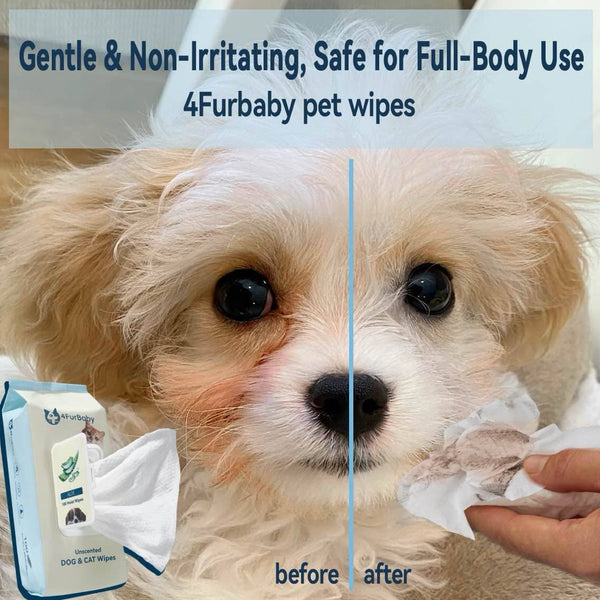 4FurBaby 100-count plant-based pet grooming wipes