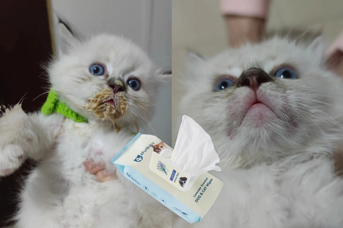 100 counts Extra - Thick Plant Wipes Premium 100% Plant - Based & Compostable Pet Grooming Wipes – Keep Your Pet Fresh the EZ Way - 4FurBaby