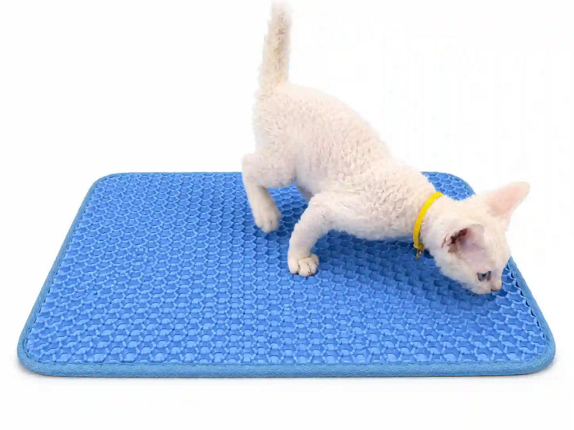 Honeycomb Litter Mat, Double-Layer Anti-Tracking Mat with Waterproof Non-Slip Bottom