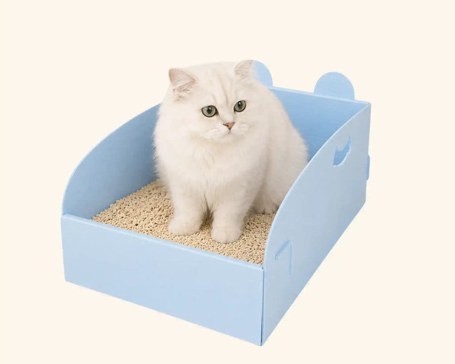 Foldable Disposable Cat Litter Box