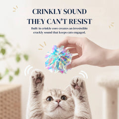 Playful kitten reaching for a shiny crinkle ball with a built-in crackling core that stimulates curiosity and keeps cats actively engaged