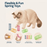 Cat Toy - Colorful Plastic Spring Interactive Set