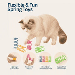 Cat Toy - Colorful Plastic Spring Interactive Set