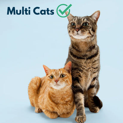 4furbaby low entry litter box for multi cats