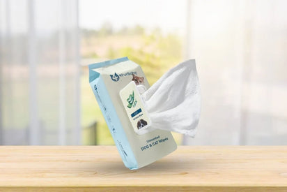 Pack of dog and cat wipes on a wooden surface with a blurred background