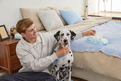 Man sitting on a bed with a Dalmatian dog, holding a box of tissues.