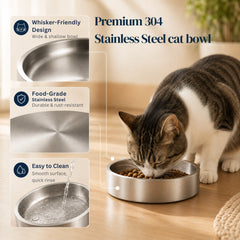 Cat eating from a wide and shallow 304 stainless steel bowl with a whisker-friendly, rust-resistant, and easy-to-clean design