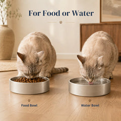 Two cats eating food and drinking water from wide, shallow stainless steel pet bowls
