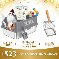 Cat litter box bundle with accessories on a festive background
