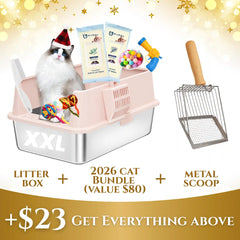 Cat litter box bundle with cat, scoop, and accessories on a festive background