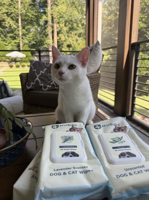 White cat sitting on a table with packages of 4FurBaby dog and cat wipes.