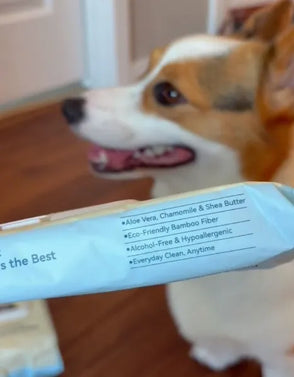 Dog in the background with a product packaging in the foreground