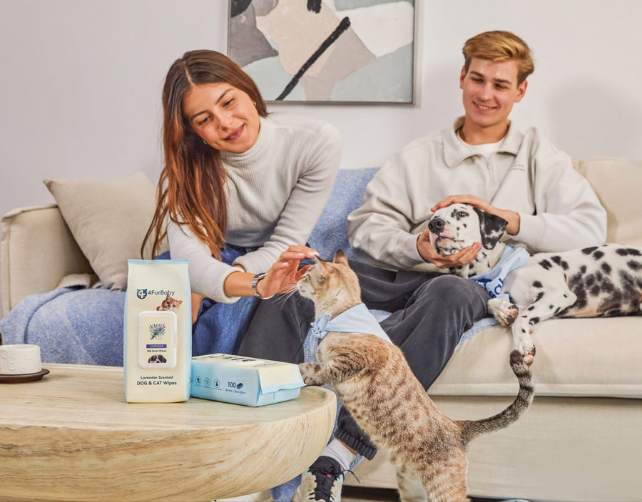4furbaby pet wipes  with dog & cat