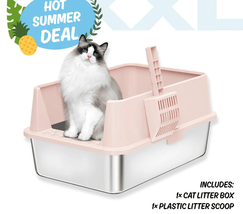 Cat sitting in a pink and clear cat litter box with a 'Hot Summer Deal' label.