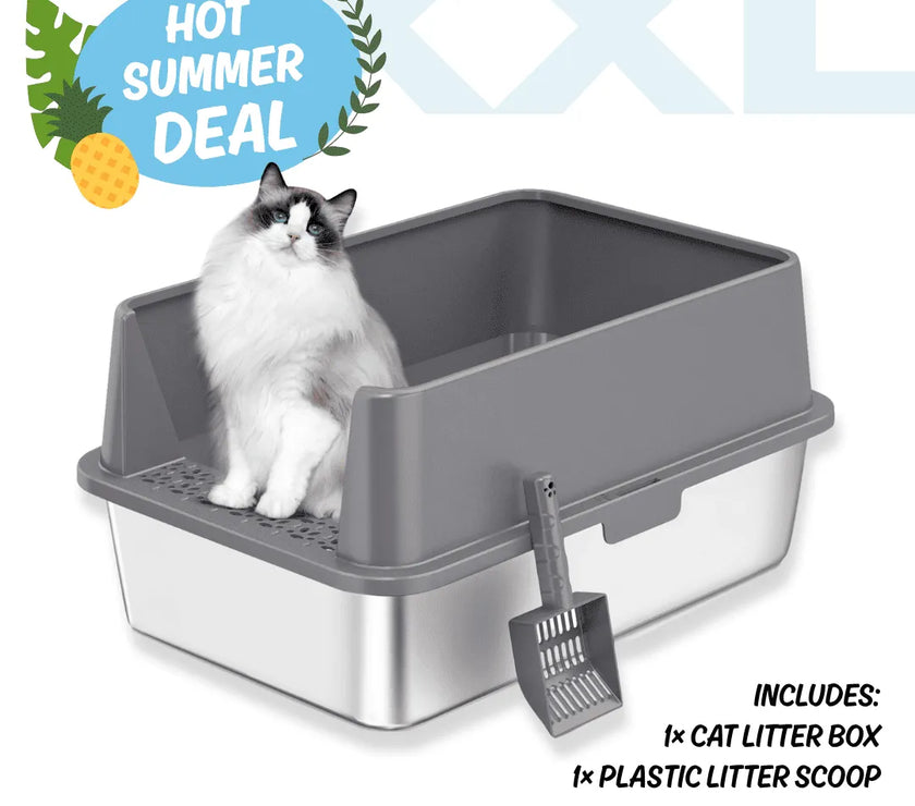 Cat sitting in a gray cat litter box with a plastic scoop, on a white background with 'Hot Summer Deal' text.