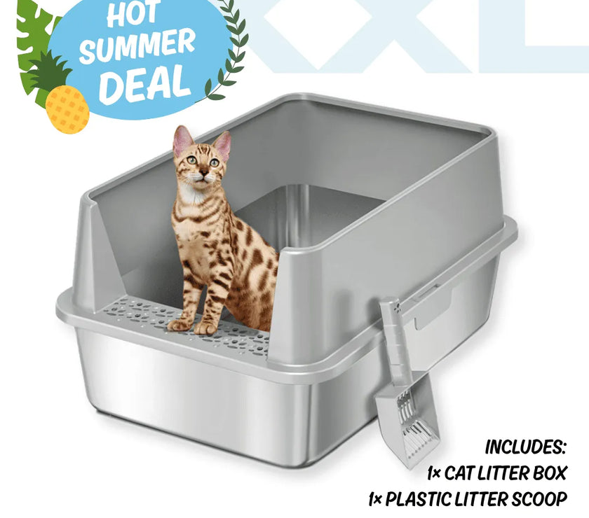 Cat litter box with a cat inside, promotional text for a hot summer deal on a white background.