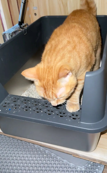 4furbaby_xxl_stainless_steel_litter_box